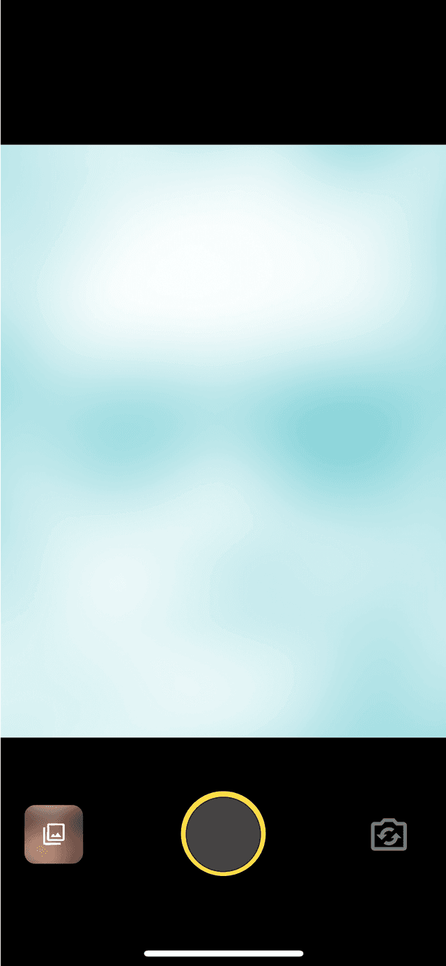 Screenshot of a generic smartphone camera app